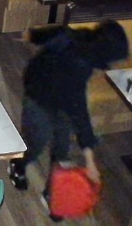 “Arson Rampage: Hunt for Suspects After Dual Indian Restaurant Blazes in Scarborough”