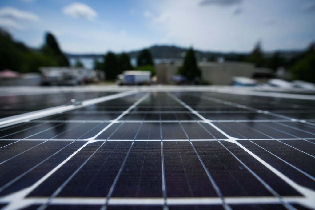 B.C. Premier Slams Trump’s Anti-Windmill Stance in Bold Push for Renewable Energy