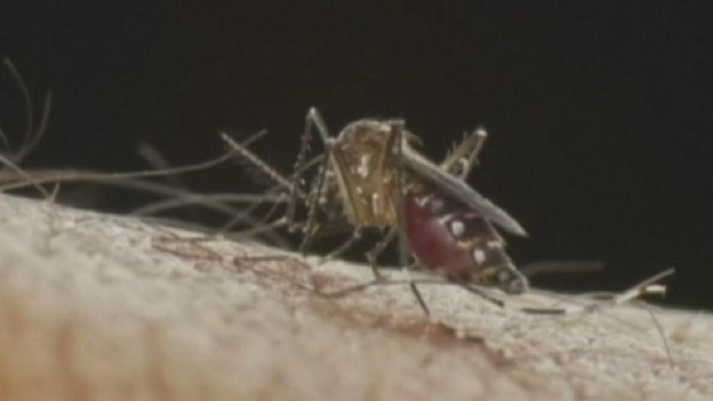 Toronto Public Health Reports City’s First Human Case of West Nile Virus This Year
