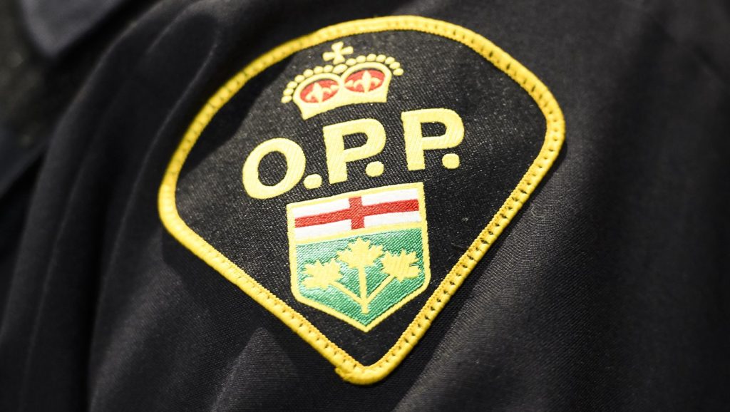 “Rock-Throwing Rampage Strikes Again in Niagara Region, Police Launch Investigation”