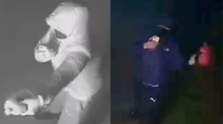 Manhunt underway for Toronto arsonist after violent fire leaves one victim hospitalized