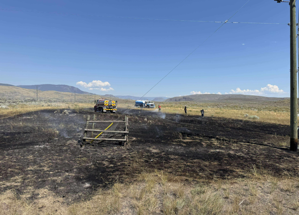 Did a Bird’s Snack Ignite a Wild Brush Fire in Ashcroft?