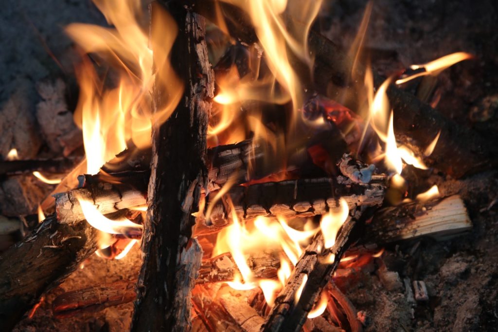“Urgent Alert: Coastal Fire Centre Bans All Campfires Effective Thursday!”