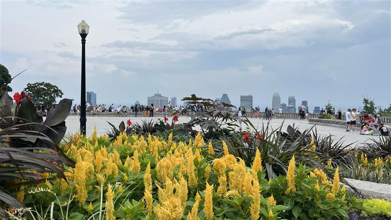 “Montreal’s Gloom Lifts Just in Time: Sunny Skies Set to Crown Final Weekend of Construction Holiday!”