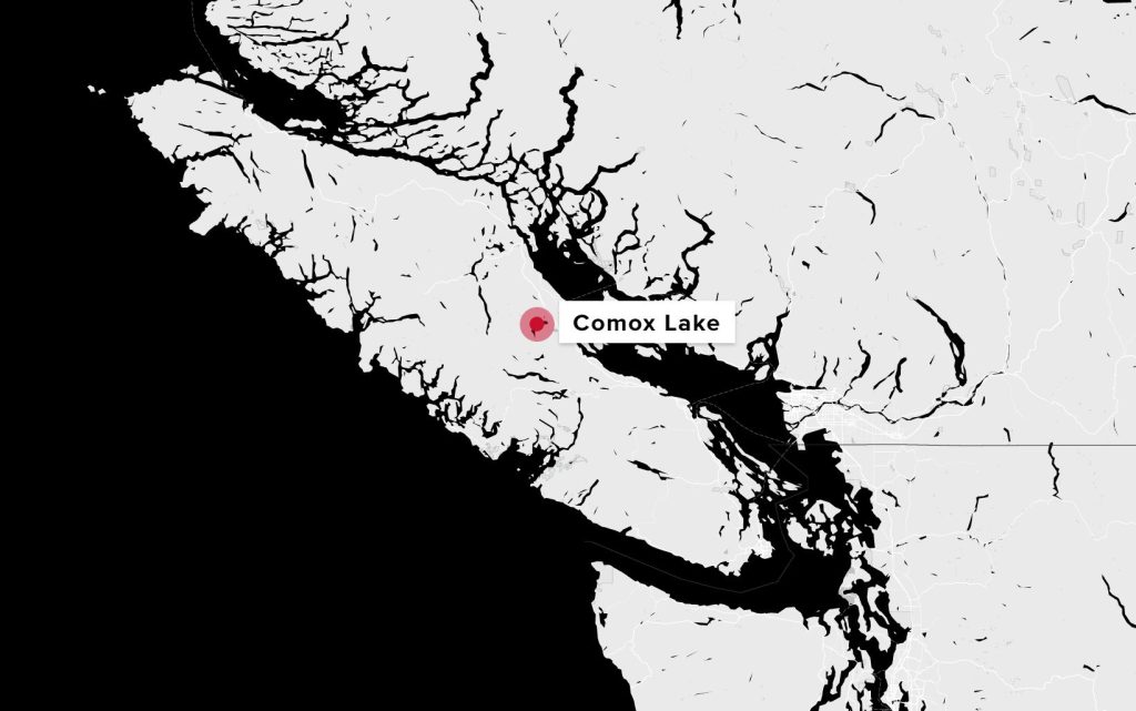 Tragic Impact: Falling Tree Claims Lives of Mother and Infant on Vancouver Island