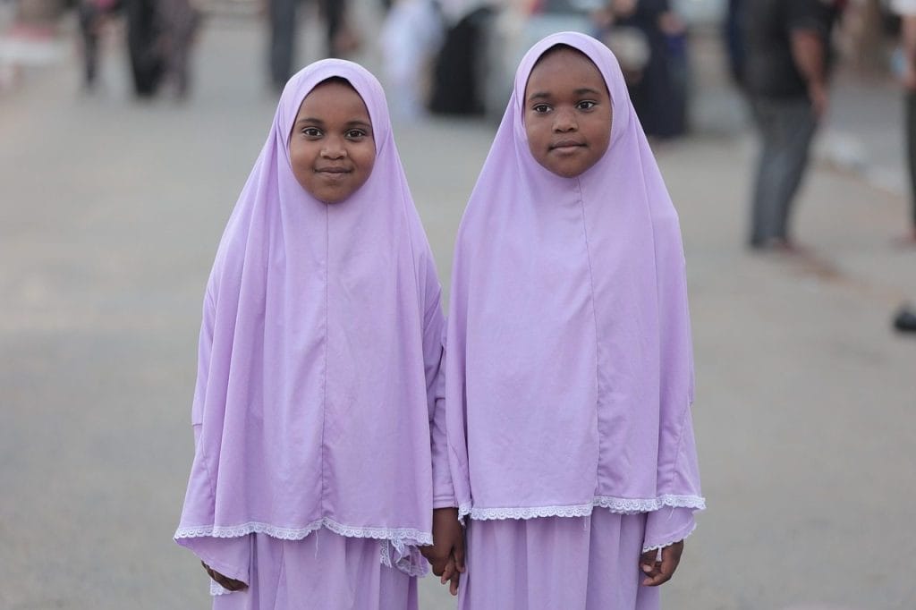 Image by hosnysalah from Pixabay