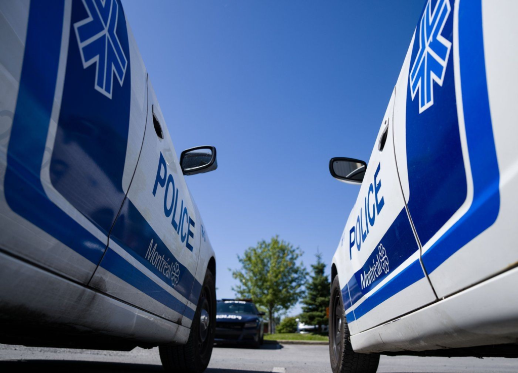 “Daring River Escape: Suspect Plunges into Chilly Waters to Evade Police, Surfaces Without a Scratch”