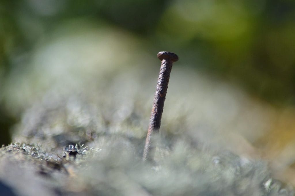 Image by hiiemook from Pixabay