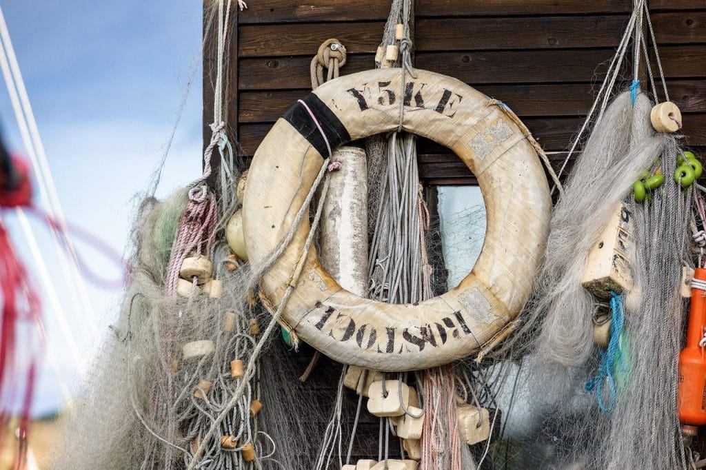 Image by fotoblend from Pixabay