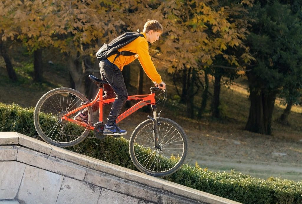 Image by Surprising_Media from Pixabay