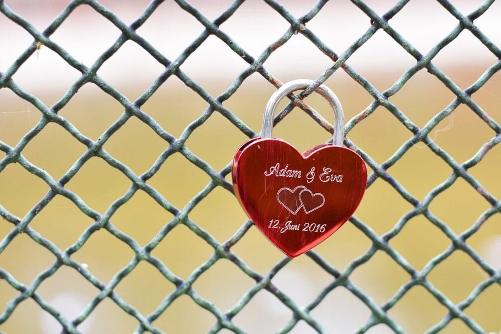 Image by Anemone123 from Pixabay