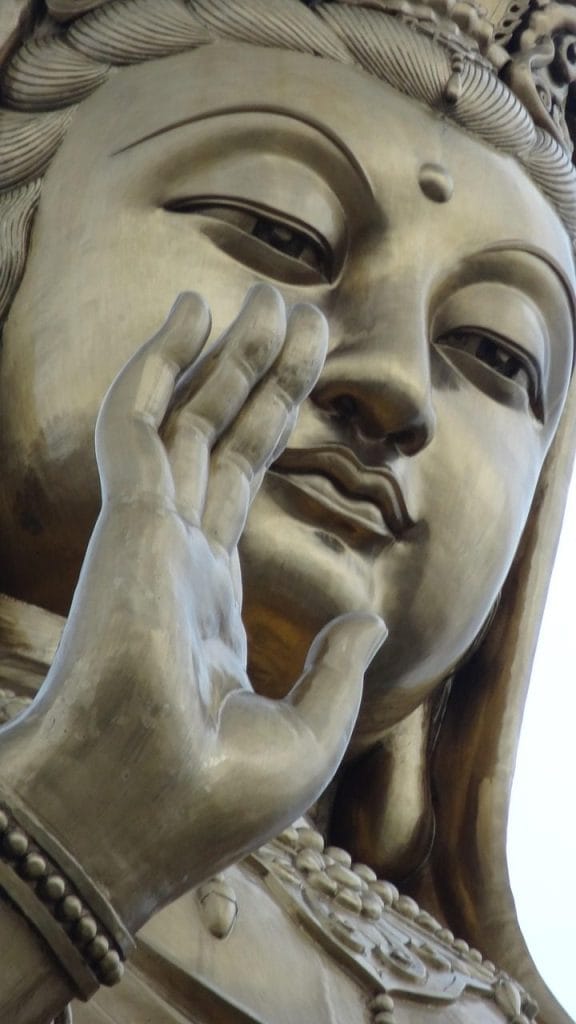 Image by smirnov27 from Pixabay