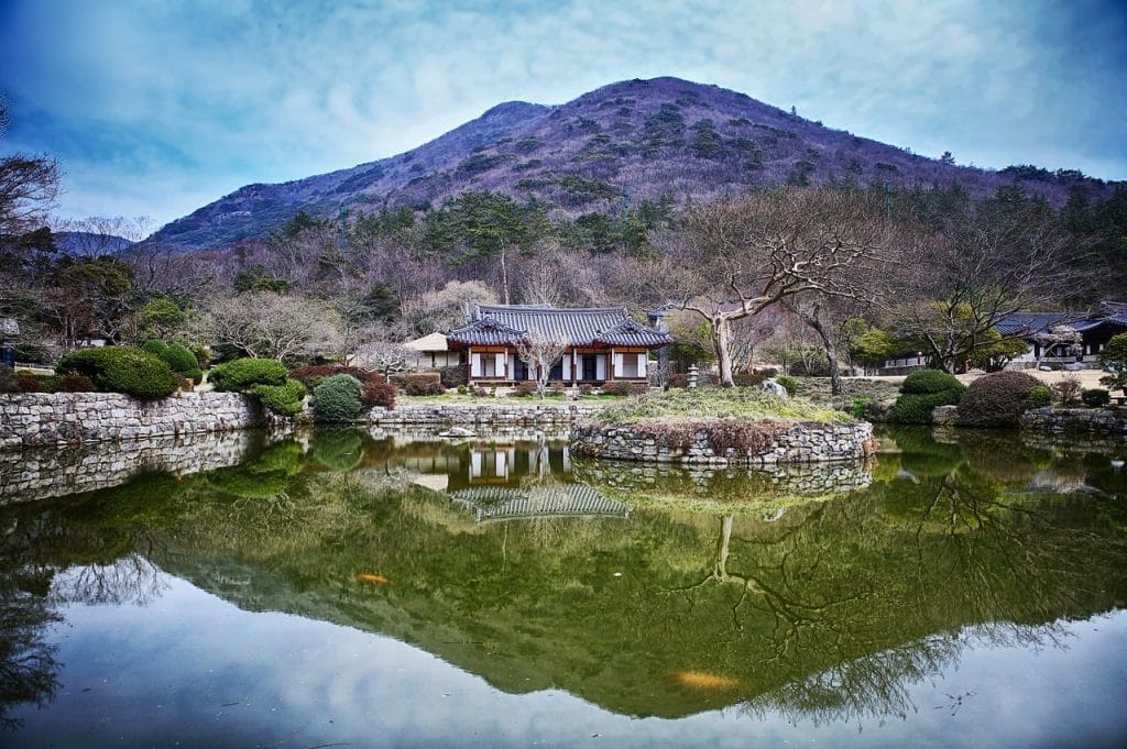 Image by YHBae from Pixabay