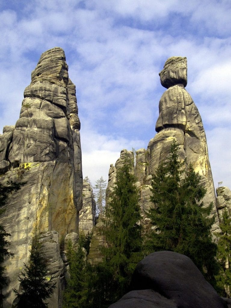 Image by Vikino from Pixabay