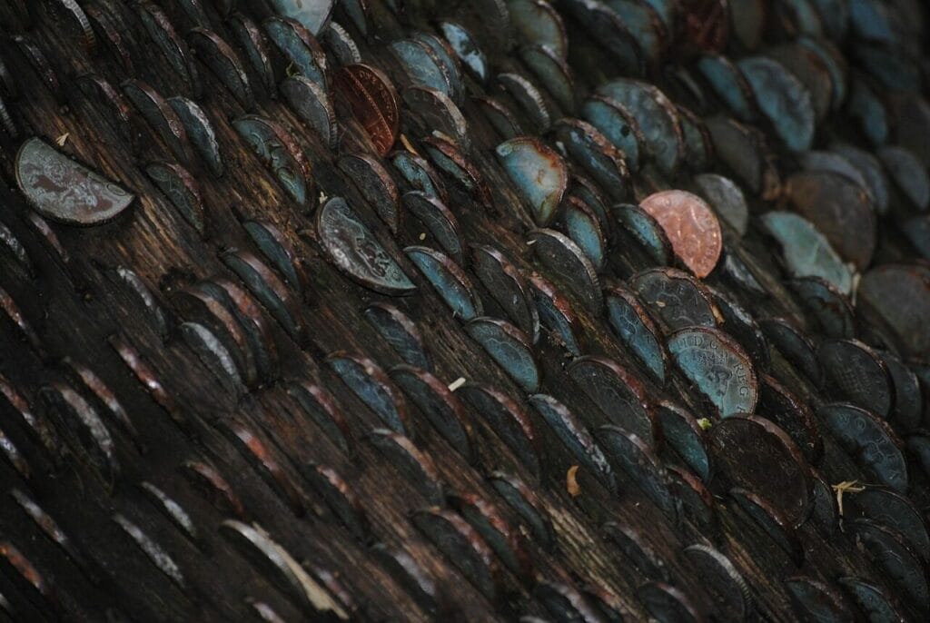 Image by shaymen99 from Pixabay