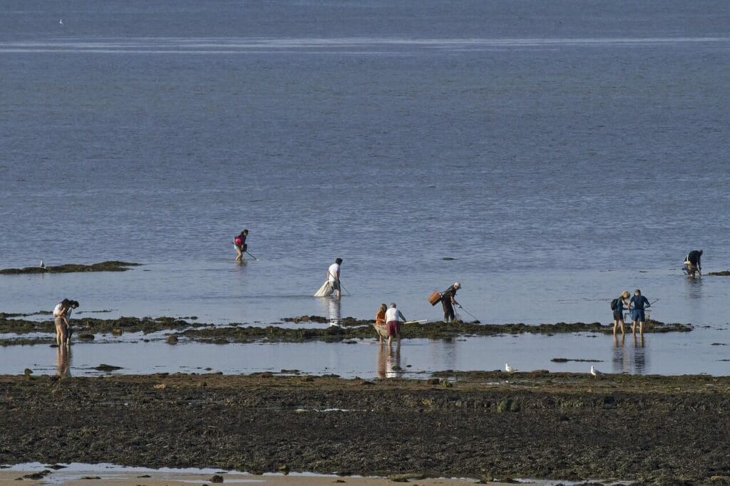 Image by WolfBlur from Pixabay