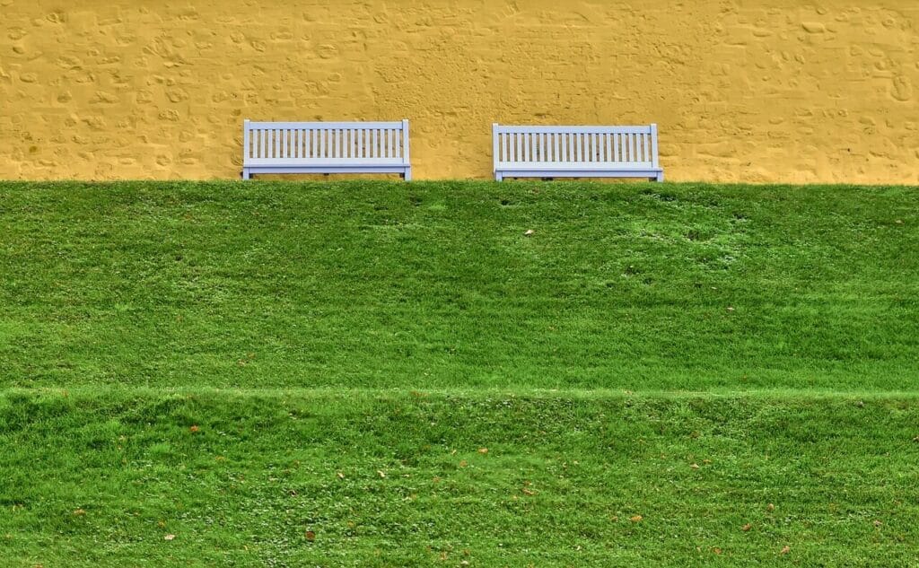 Image by Peggychoucair from Pixabay