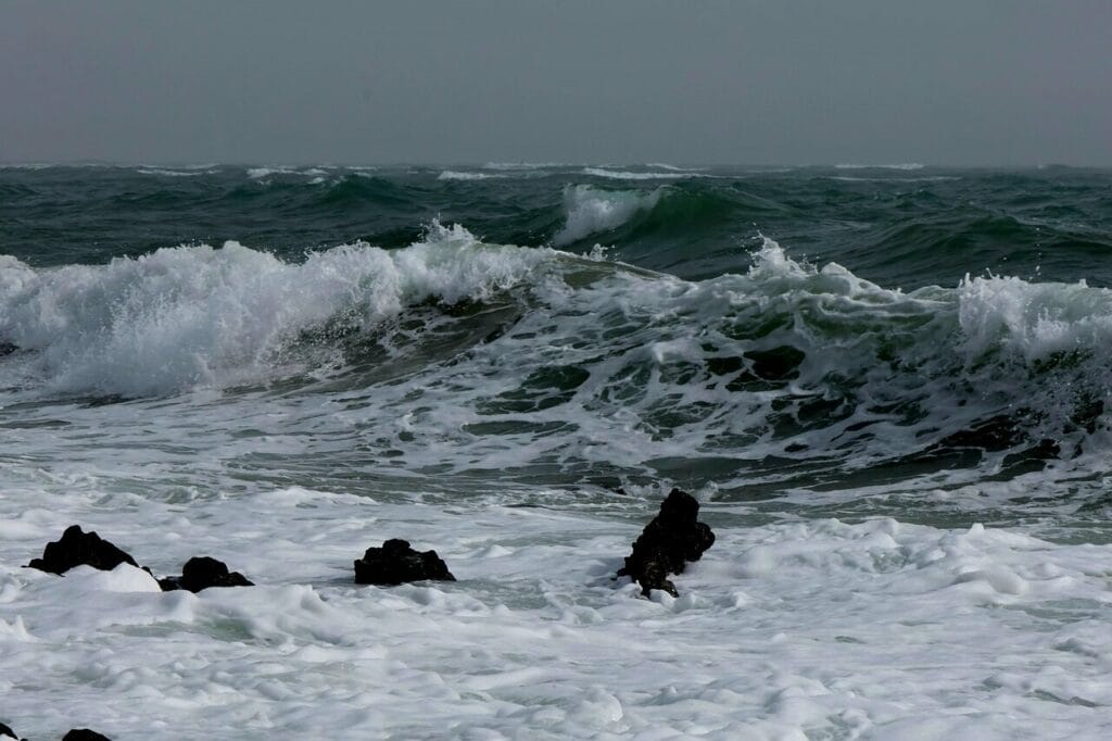 Image by Tho-Ge from Pixabay