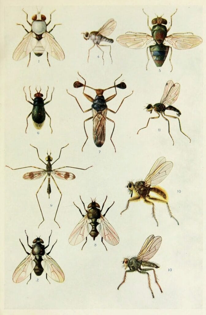 Image by WikimediaImages from Pixabay