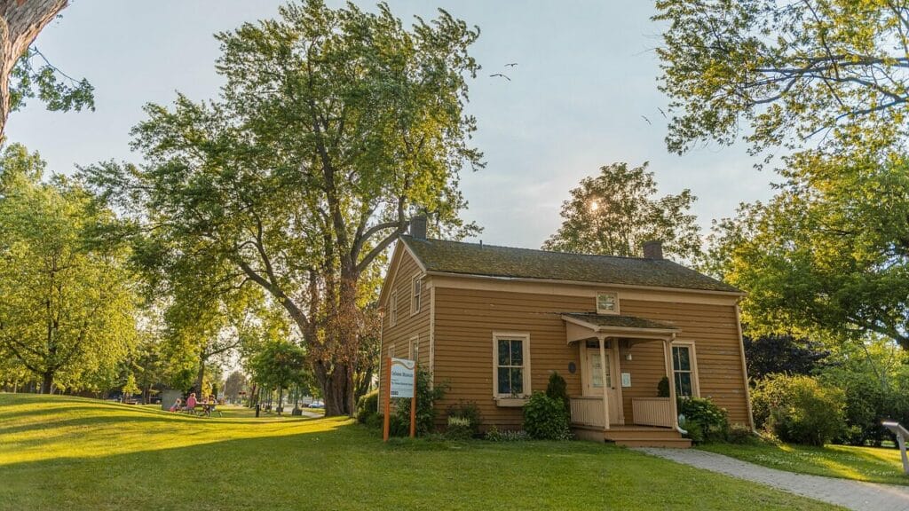 Image by Fifaliana-joy from Pixabay