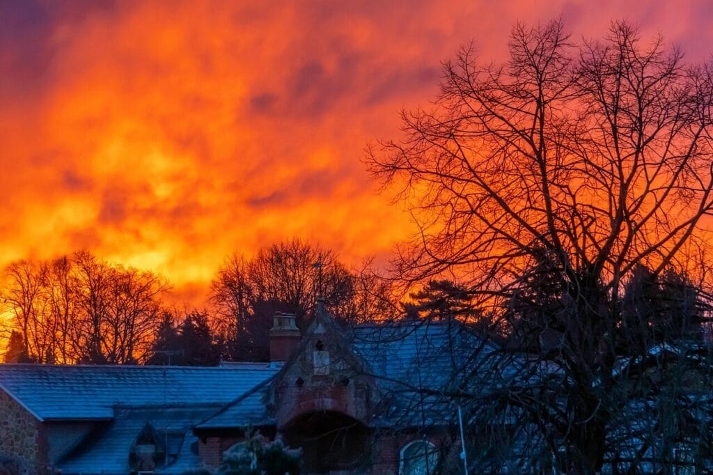 Image by brendan347 from Pixabay