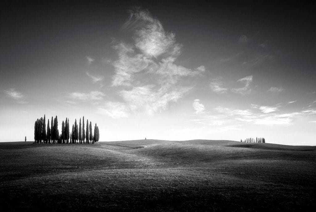 Image by Elisabetta_Miele from Pixabay