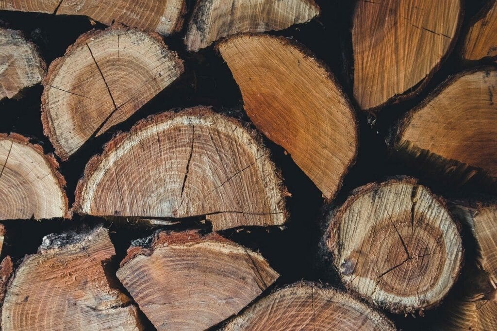 Image by MolnarSzabolcsErdely from Pixabay