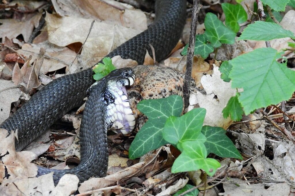 Image by 5892437 from Pixabay