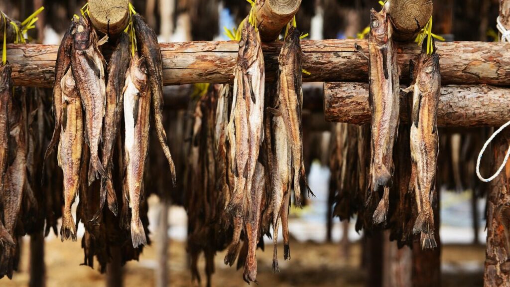 Image by leegenhyung from Pixabay