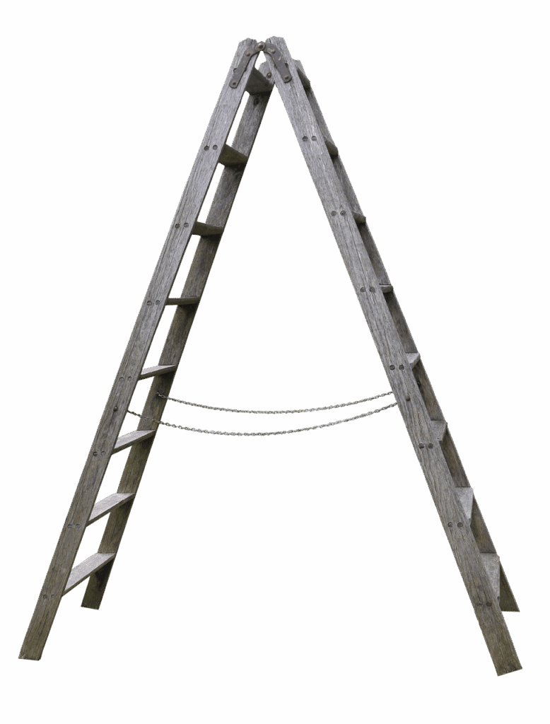 Image by Susannehs from Pixabay