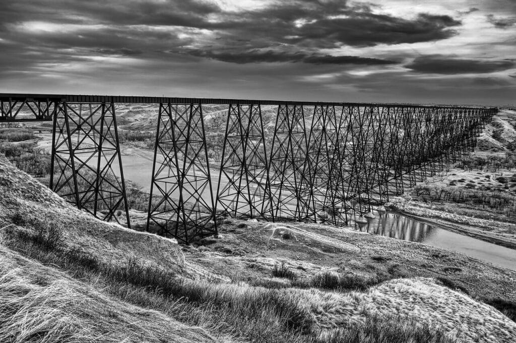 Image by dtneatline from Pixabay