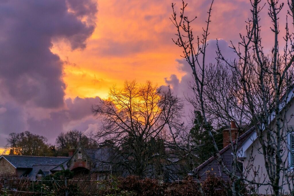 Image by brendan347 from Pixabay