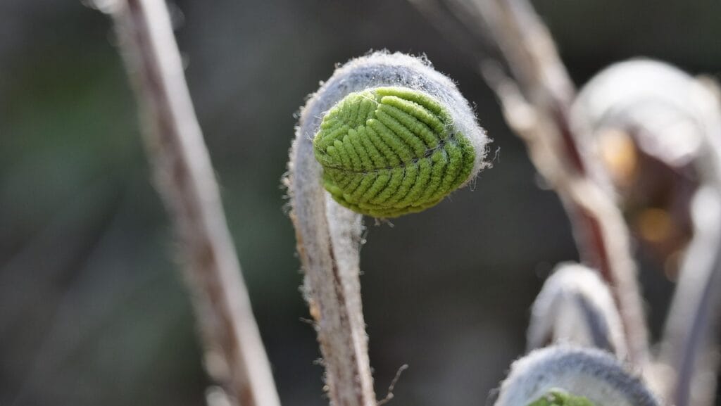 Image by Docujeju from Pixabay