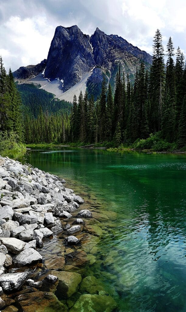 Image by guy_dugas from Pixabay