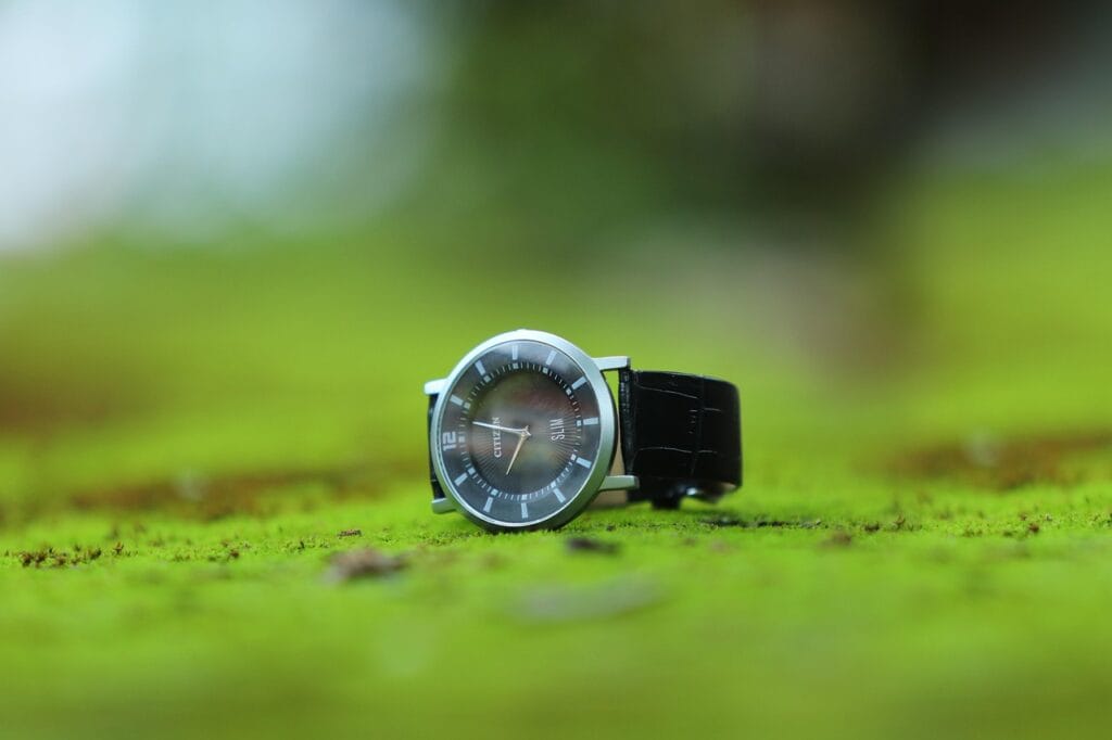 Image by bobanmk from Pixabay