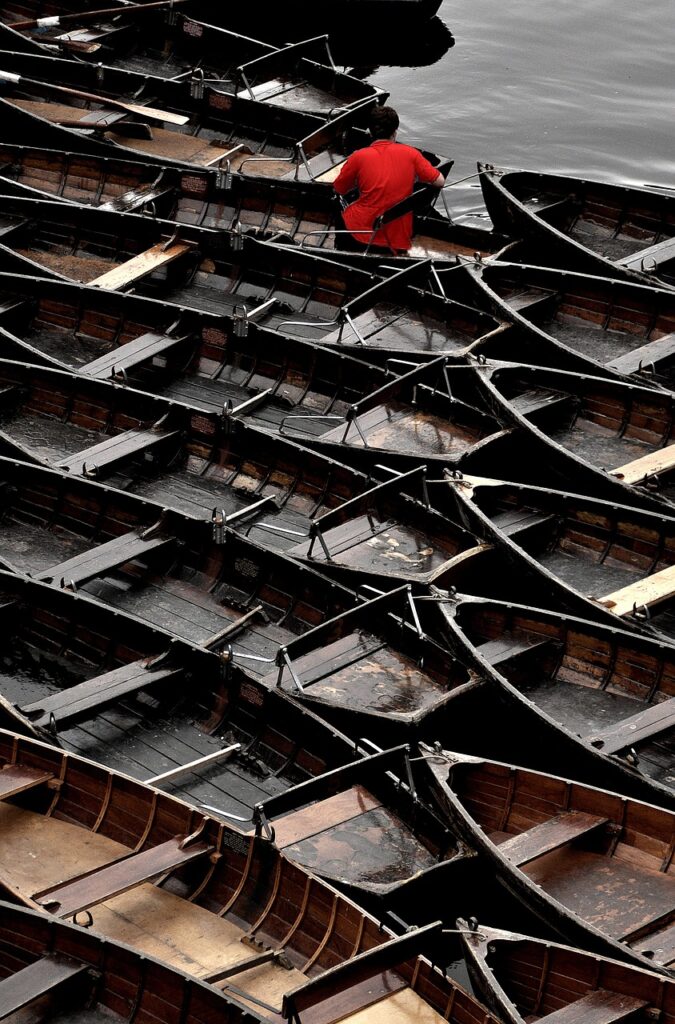 Image by Hallmackenreuther from Pixabay