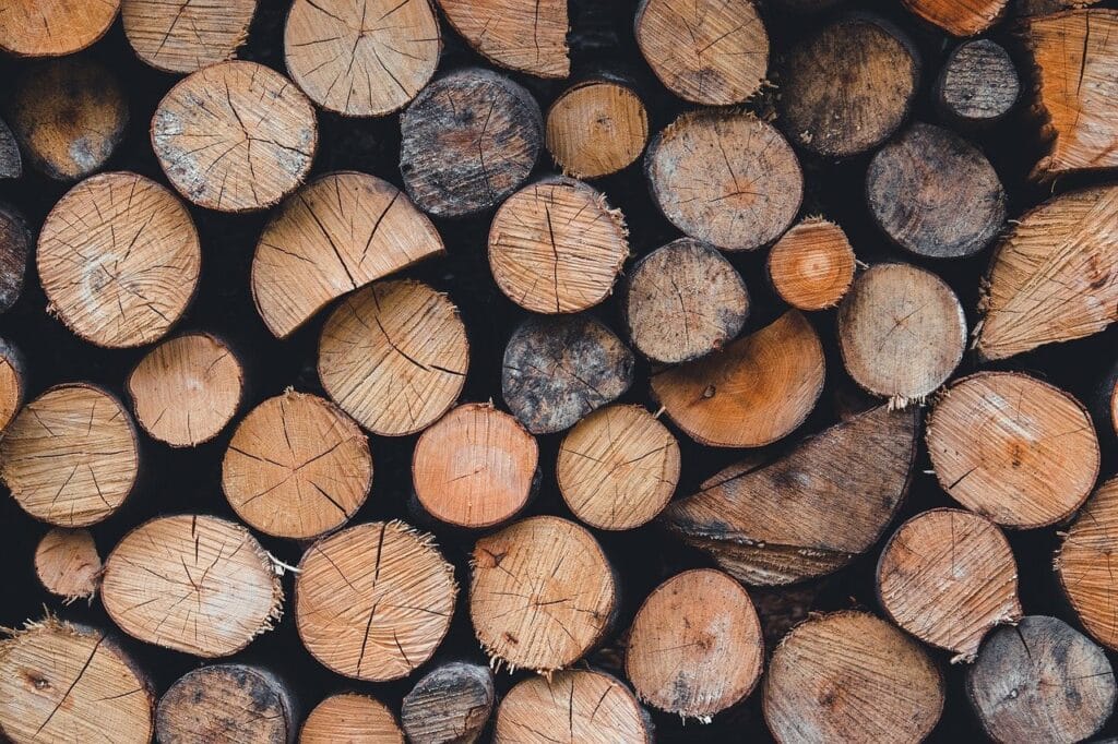 Image by MolnarSzabolcsErdely from Pixabay