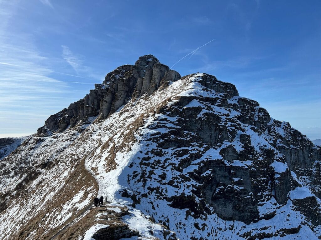 Image by cermanni from Pixabay