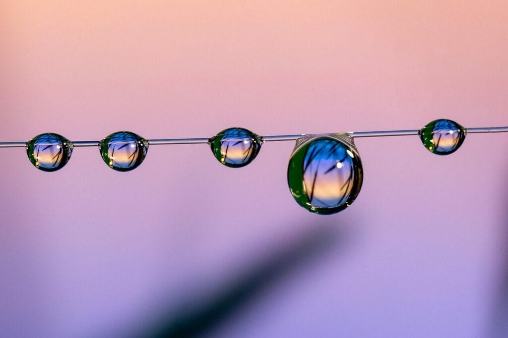 Image by Dragon77 from Pixabay