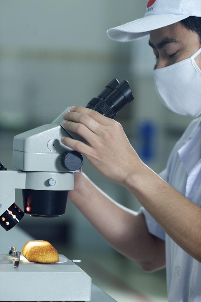 Image by Alanguyen from Pixabay