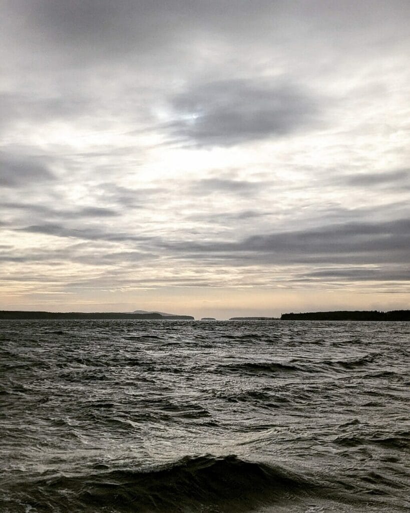 Image by ljenish from Pixabay