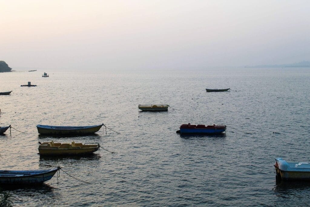 Image by Shivamt77 from Pixabay