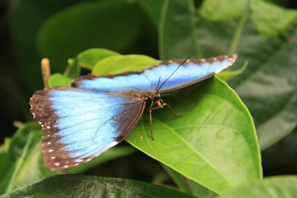 Image by STennis from Pixabay