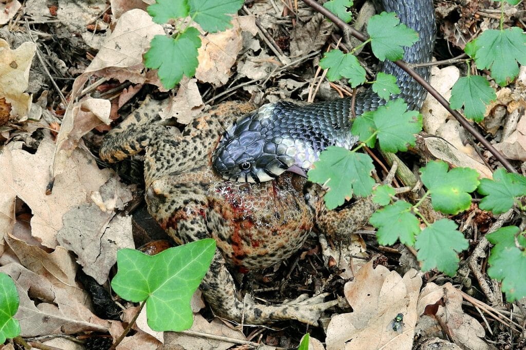 Image by 5892437 from Pixabay