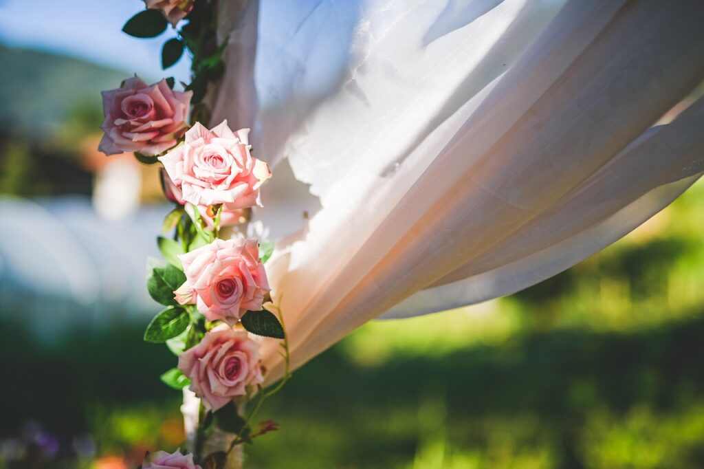 Image by ljubisaaleksandrov from Pixabay