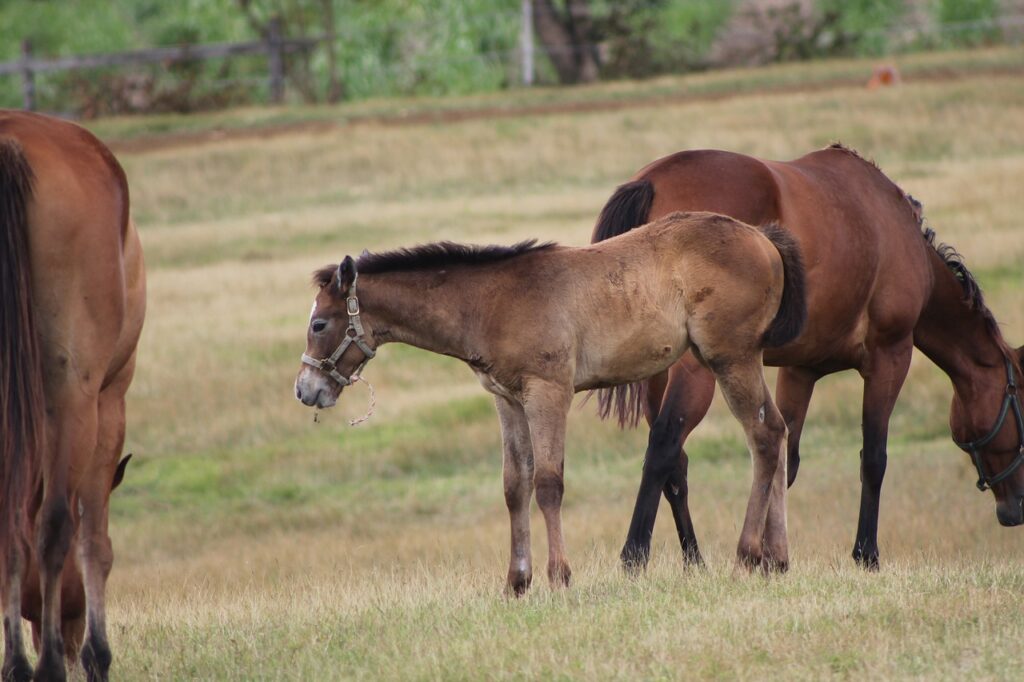 Image by Bigsyl from Pixabay