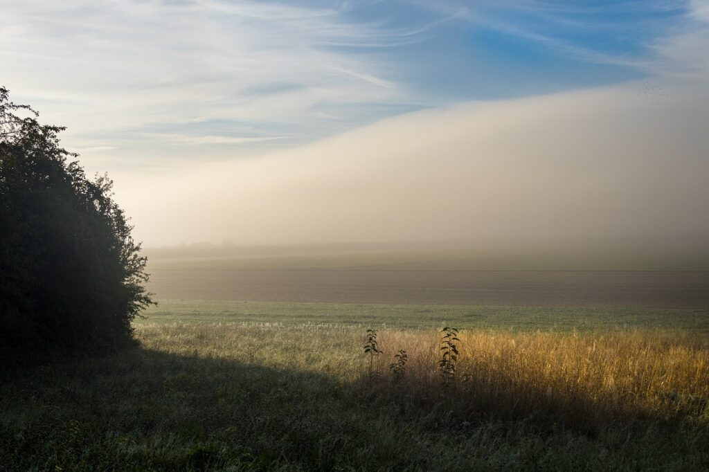 Image by marcelkessler from Pixabay