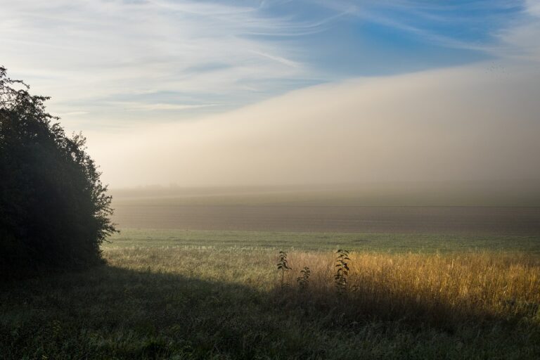 Image by marcelkessler from Pixabay