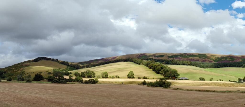 Image by It_was_a_pleasure from Pixabay