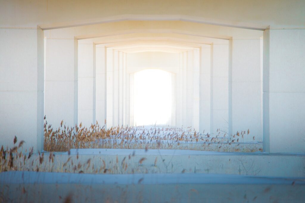 Image by Filisofik from Pixabay